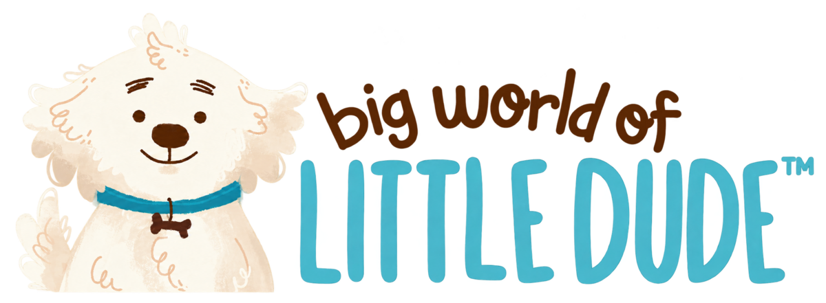 Big World of Little Dude