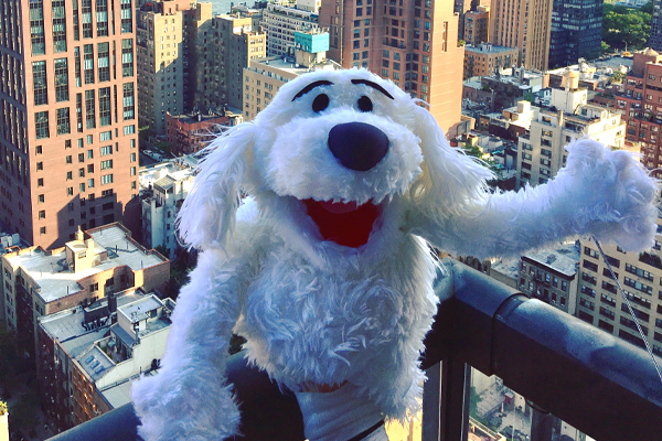 the benefits of puppets in the classroom, dog puppet in new york city