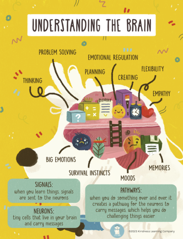 understanding the brain, brain vacation, guide to meditation